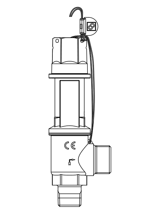 安全阀3030/66C,螺纹接口